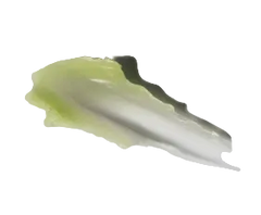 Green sample balm on a white background